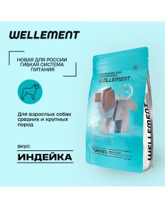 Сухой корм для собак средних и крупных пород с индейкой 2 5 кг Wellement