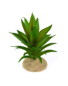 Растение для террариума Алое зелёное 11x11x13см Terra della