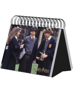 Календарь настольный в футляре Гарри Поттер на спирали 384 стр Эксмо