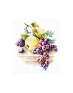 Набор для вышивания Виноград и яблоки Чудесная игла