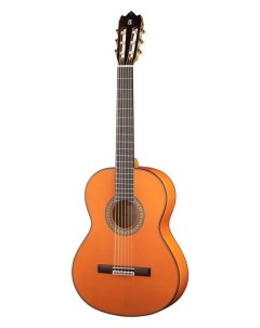 Flamenco Conservatory 4F Классическая гитара защитная накладка 8 209 Alhambra