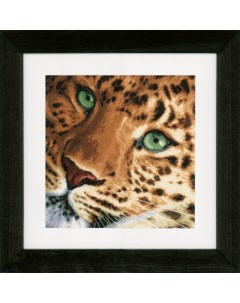 Набор для вышивания на аиде "Leopard", арт.PN 0155213 Lanarte