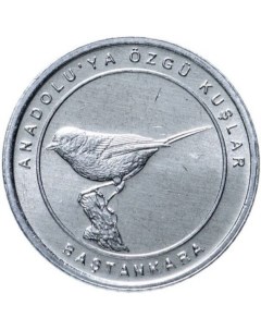 Памятная монета 1 куруш Синица Анталийские птицы Турция 2020 г Nobrand