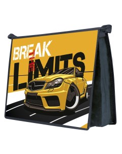 Папка для тетрадей А4 на молнии Break Limits Пчёлка