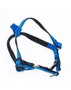 Шлейка для собак с застежкой фастекс нейлоновая синяя S ДЛ 38 45 см Ш 15 мм Дягилев