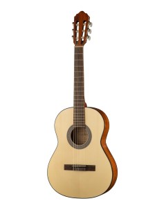 Классическая гитара 3 4 с чехлом PC75 WBAG OP Parkwood
