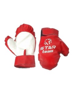 Боксёрские перчатки в сетке IT107830 Star team