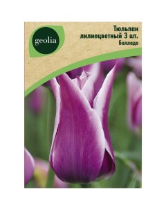 Тюльпан лилиецветный Баллада 3 шт Geolia