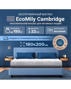 Ортопедический матрас Cambridge беспружинный жесткий 180х200 Ecomily