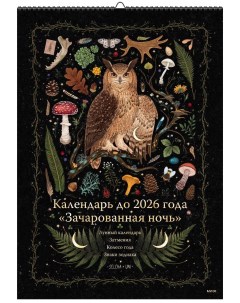 Календарь до 2026 года Зачарованная ночь обложка Сова Манн, иванов и фербер