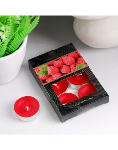 Набор чайных свечей ароматизированных Сладкая малина в подарочной коробке 6 шт Sima-land
