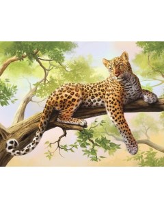 Картина по номерам на холсте с подрамником Леопард 40 х 30 см Школа талантов