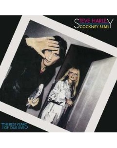 Steve Harley The Best Years of Our Lives 45th Anniversary Limited Edition Chrysalis / partisan
