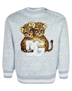 Свитшот Dolce&gabbana