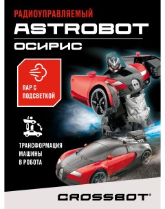 Радиоуправляемая машинка Робот трансформер на пульте Astrobot Crossbot