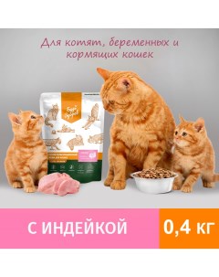 Сухой корм для кошек для беременных и кормящи с индейкой 0 4 кг Будь здоров