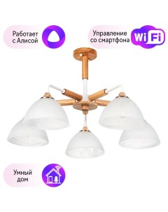 Потолочная люстра с поддержкой Алисы комплект от Lustrof 257639 Arte lamp