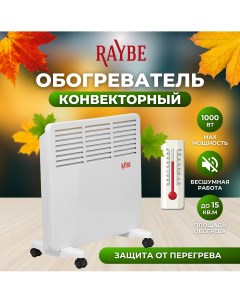 Конвектор PH10 белый Raybe