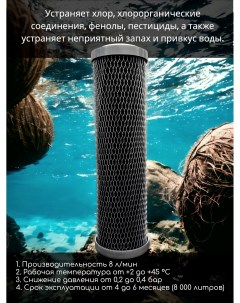 Картридж из прессованного кокосового угля BL 10 Slim Line Nashfilter