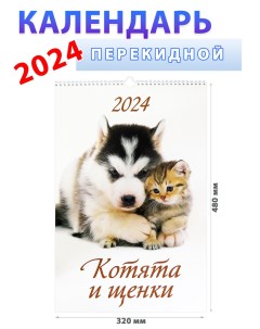 Календарь настенный на 2024 год Котята и щенки 320х480 мм Атберг 98