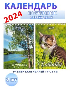 Календарь настенный 2024 год Котята Природа 2 шт Атберг 98
