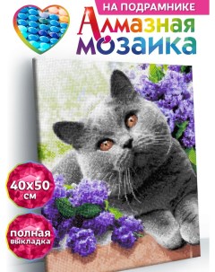 Алмазная мозаика по номерам Кот в сирени подрамник 40х50 Kiki