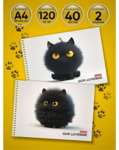 Альбом для рисования Коты комплект из 2 х штук по 40 листов А4 формата Типография тмт