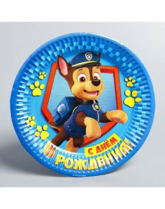 Щенячий патруль Тарелка бумажная С Днем Рождения 10 шт Paw patrol