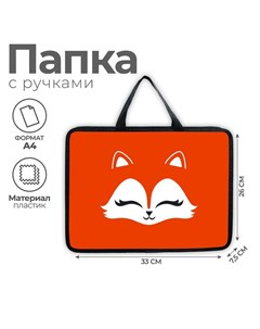 Папка для тетрадей а4 на молнии пластик 75мм 330 х 260 пм а4 26 дев Artfox study