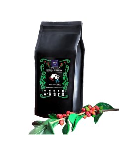 Кофе Geisha Juliette 500 г Ninety plus coffee