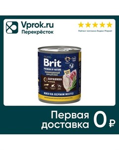 Влажный корм для собак Brit Premium by Nature с бараниной и рубцом 850г упаковка 6 шт Елецкий мк