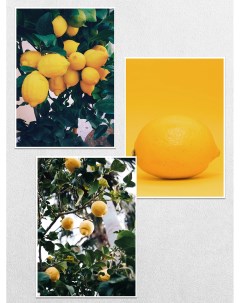 Постеры интерьерные желтые Лимоны Ru-print