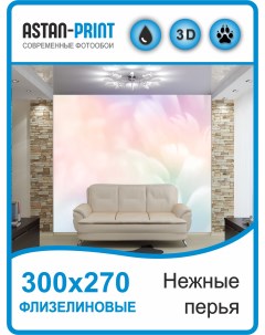 Фотообои флизелиновые Нежные перья 300х270 Astan