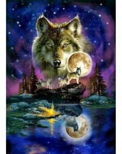 Алмазная мозаика стразами Волк в полнолуние 00114207 30х40 см Ripoma