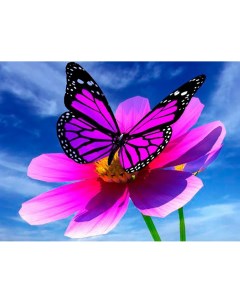 Алмазная мозаика Бабочка на цветке 15х20 см Ripoma