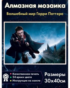 Алмазная мозаика Гарри Поттер на метле Хогвартс Fantasy earth