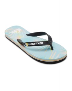 Мужские сланцы Molokai Quiksilver