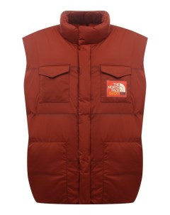 Пуховый жилет The North Face x Gucci