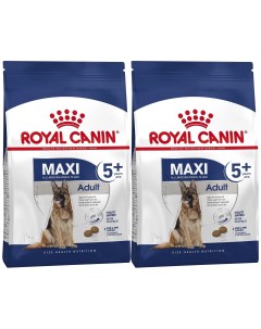 Сухой корм для пожилых собак крупных пород Maxi Adult 5 2 шт по 4 кг Royal canin