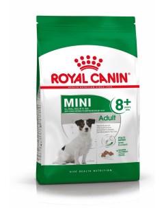 Корм для пожилых собак малых пород до 10 кг старше 8 лет 2 кг Royal canin