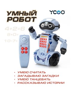 Интерактивный робот DR7 Ycoo