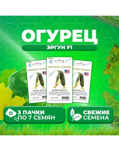 Семена огурец Эргун F1 1071863357 3 3 уп Vita green