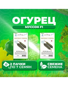 Семена огурец Муссон F1 1071863352 2 2 уп Vita green