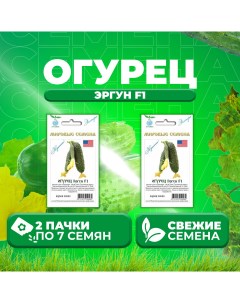 Семена огурец Эргун F1 1071863357 2 2 уп Vita green