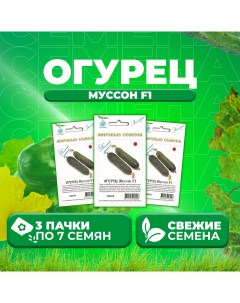 Семена огурец Муссон F1 1071863352 3 3 уп Vita green