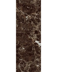 Настенная плитка Insignia Emperador Nuovo Brillo 24 2x70 Eletto ceramica