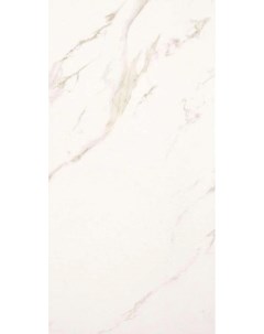 Керамогранит Marmoker Statuario Oro Honed 6 5mm 60x120 Casalgrande padana