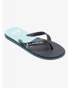 Мужские сланцы Molokai Quiksilver