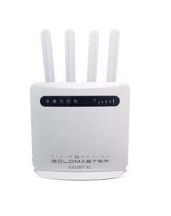 Wi FI роутер GIGABIT 6C Goldmaster