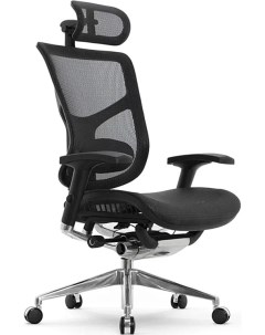 Компьютерное ортопедическое кресло Star Ergo с 4D подголовником Expert